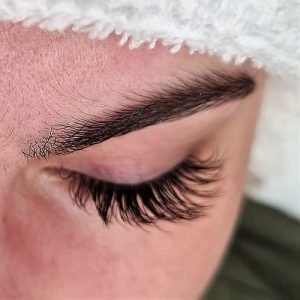 wimpern